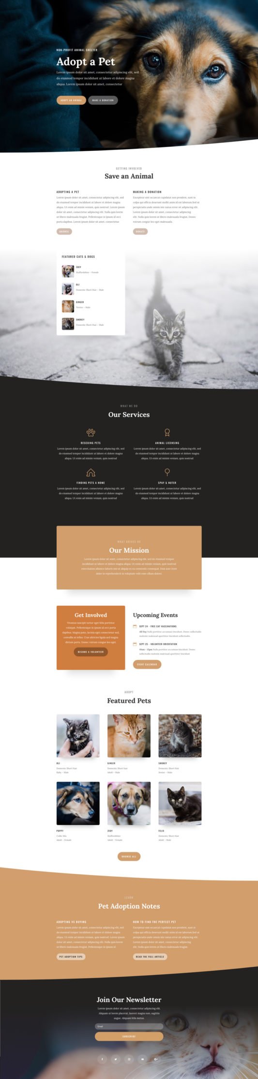 Webstarter-internetiniu-svetainiu-kurimas-gyvunu-prieglauda